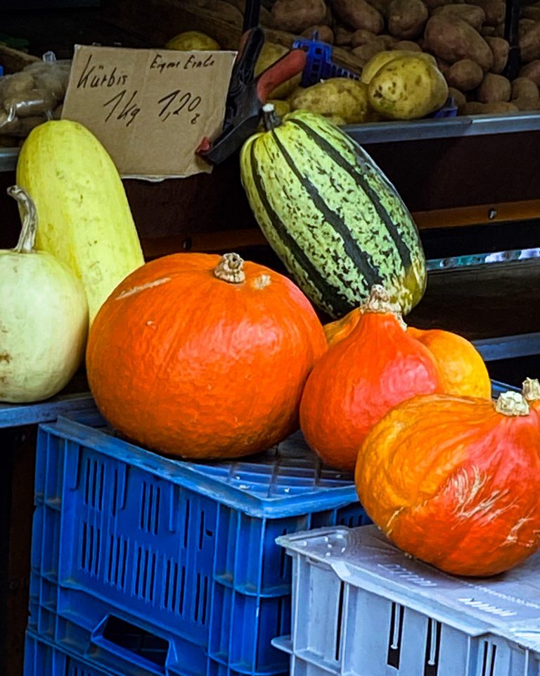 Blogbeitrag Kürbiszeit